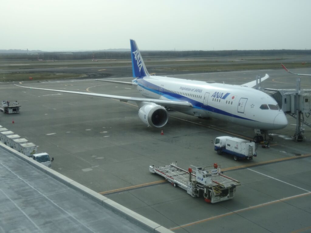 ANA　千歳　年末年始　セール