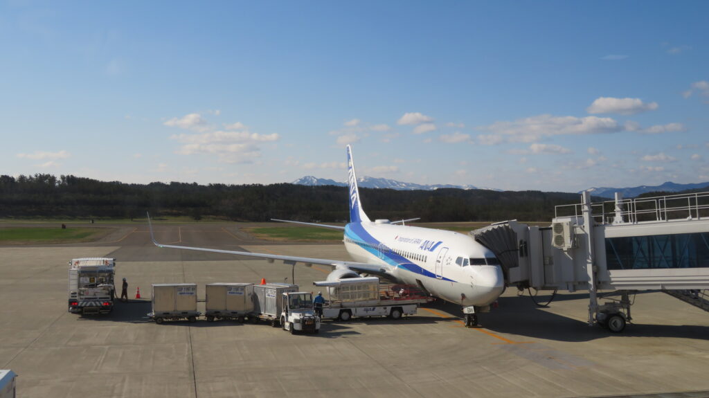 庄内空港ANA737-800